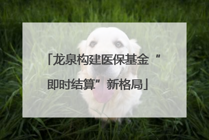 龙泉构建医保基金“即时结算”新格局