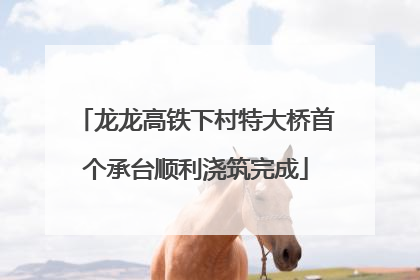 龙龙高铁下村特大桥首个承台顺利浇筑完成