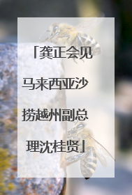龚正会见马来西亚沙捞越州副总理沈桂贤
