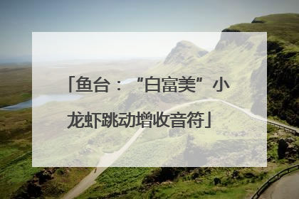 鱼台：“白富美”小龙虾跳动增收音符