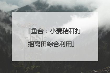 鱼台：小麦秸秆打捆离田综合利用