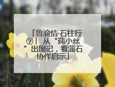鲁渝情·石柱行② ︳从“莼小丝”出国记，看淄石协作启示