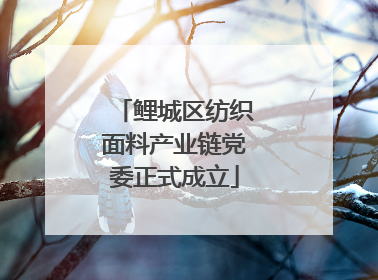 鲤城区纺织面料产业链党委正式成立