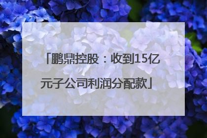 鹏鼎控股：收到15亿元子公司利润分配款