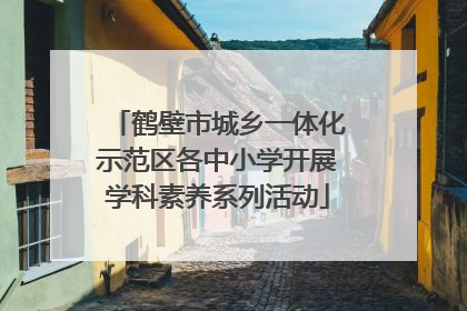鹤壁市城乡一体化示范区各中小学开展学科素养系列活动