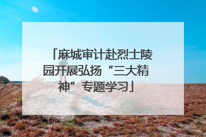 麻城审计赴烈士陵园开展弘扬“三大精神”专题学习