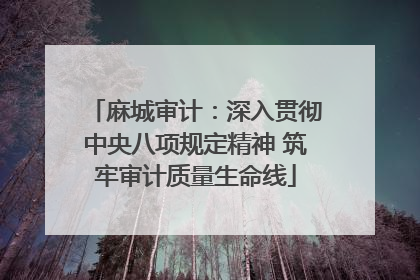 麻城审计：深入贯彻中央八项规定精神 筑牢审计质量生命线