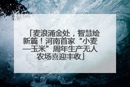 麦浪涌金处，智慧绘新篇！河南首家“小麦—玉米”周年生产无人农场喜迎丰收