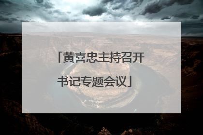 黄喜忠主持召开书记专题会议