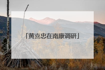 黄喜忠在南康调研
