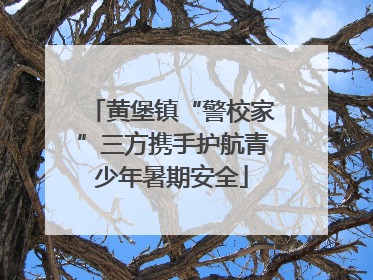 黄堡镇“警校家”三方携手护航青少年暑期安全
