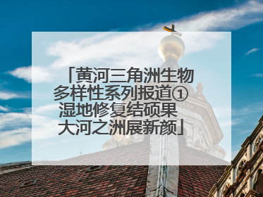 黄河三角洲生物多样性系列报道①湿地修复结硕果 大河之洲展新颜