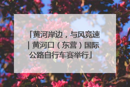 黄河岸边，与风竞速｜黄河口（东营）国际公路自行车赛举行