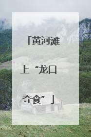 黄河滩上“龙口夺食”