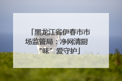 黑龙江省伊春市市场监管局：净网清厨 “味”爱守护