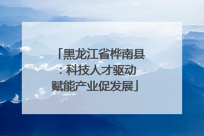 黑龙江省桦南县：科技人才驱动 赋能产业促发展