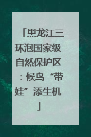 黑龙江三环泡国家级自然保护区：候鸟“带娃”添生机