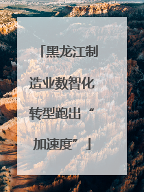 黑龙江制造业数智化转型跑出“加速度”