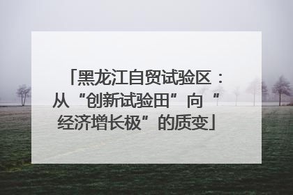 黑龙江自贸试验区：从“创新试验田”向“经济增长极”的质变