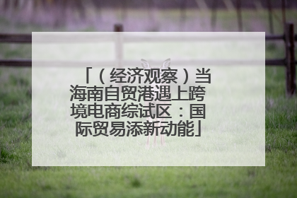 （经济观察）当海南自贸港遇上跨境电商综试区：国际贸易添新动能