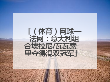 （体育）网球——法网：意大利组合埃拉尼/瓦瓦索里夺得混双冠军