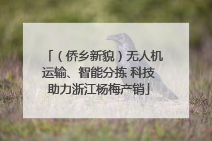 （侨乡新貌）无人机运输、智能分拣 科技助力浙江杨梅产销