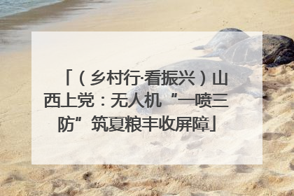 （乡村行·看振兴）山西上党：无人机“一喷三防”筑夏粮丰收屏障