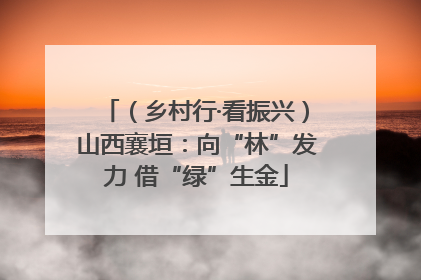（乡村行·看振兴）山西襄垣：向“林”发力 借“绿”生金