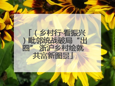 （乡村行·看振兴）毗邻统战破局“出圈” 浙沪乡村绘就共富新图景