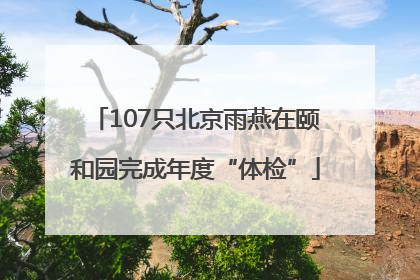 107只北京雨燕在颐和园完成年度“体检”