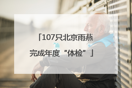 107只北京雨燕完成年度“体检”