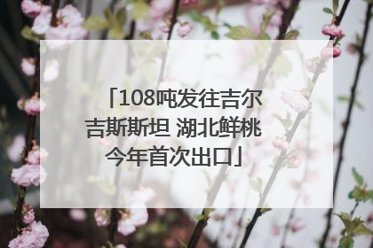 108吨发往吉尔吉斯斯坦 湖北鲜桃今年首次出口