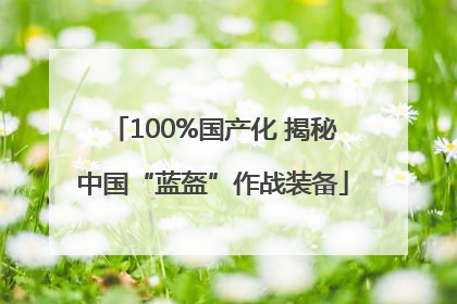 100%国产化 揭秘中国“蓝盔”作战装备