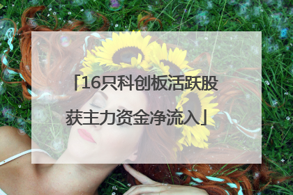 16只科创板活跃股获主力资金净流入