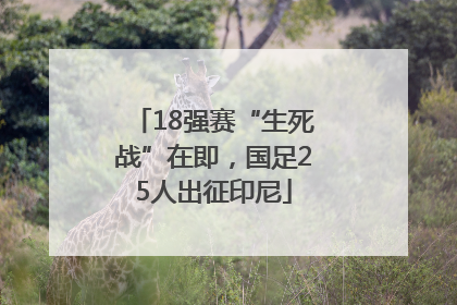 18强赛“生死战”在即，国足25人出征印尼
