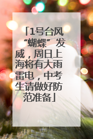 1号台风“蝴蝶”发威，周日上海将有大雨雷电，中考生请做好防范准备