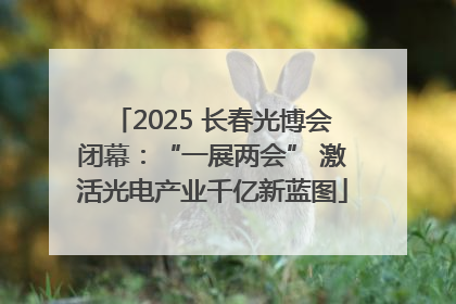 2025 长春光博会闭幕：“一展两会” 激活光电产业千亿新蓝图