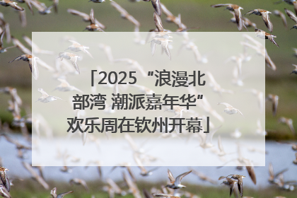 2025“浪漫北部湾 潮派嘉年华”欢乐周在钦州开幕