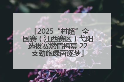 2025“村超”全国赛（江西赛区）弋阳选拔赛燃情揭幕 22支劲旅绿茵逐梦