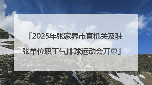 2025年张家界市直机关及驻张单位职工气排球运动会开幕