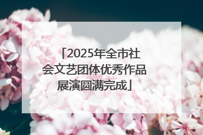 2025年全市社会文艺团体优秀作品展演圆满完成