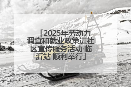 2025年劳动力调查和就业政策进社区宣传服务活动·临沂站 顺利举行