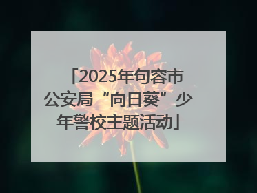 2025年句容市公安局“向日葵”少年警校主题活动