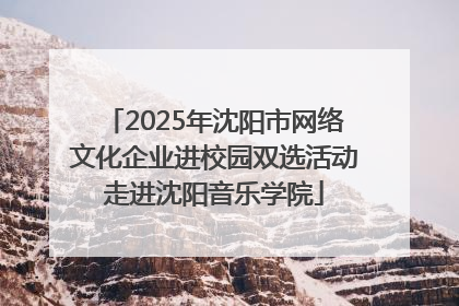 2025年沈阳市网络文化企业进校园双选活动走进沈阳音乐学院