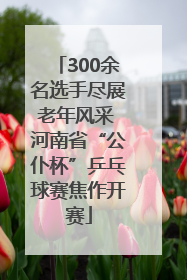 300余名选手尽展老年风采 河南省“公仆杯”乒乓球赛焦作开赛