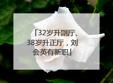 32岁升副厅、38岁升正厅，刘会英有新职
