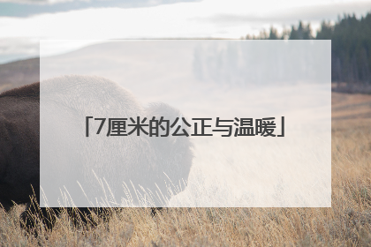 7厘米的公正与温暖