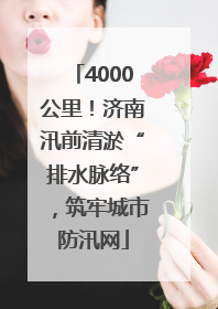 4000公里！济南汛前清淤“排水脉络”，筑牢城市防汛网