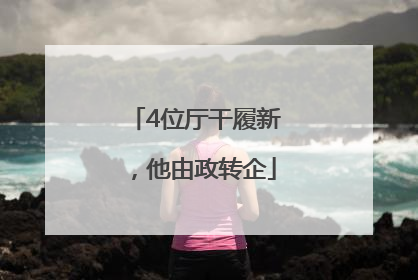 4位厅干履新，他由政转企
