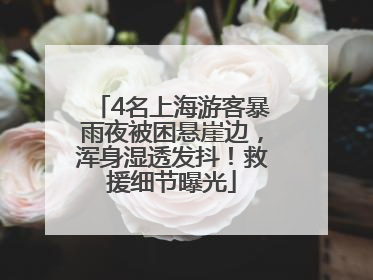 4名上海游客暴雨夜被困悬崖边，浑身湿透发抖！救援细节曝光
